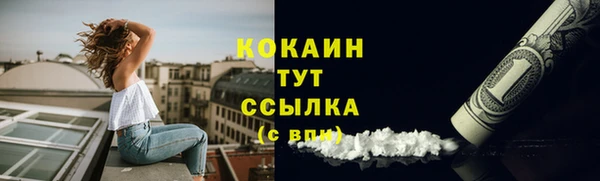 не бодяженный Бородино
