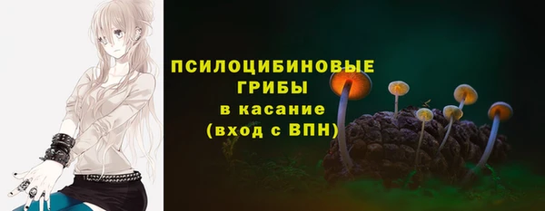 стаф Бронницы