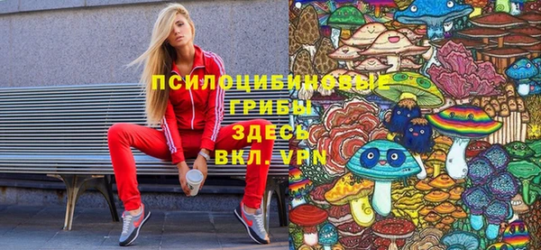 стаф Бронницы