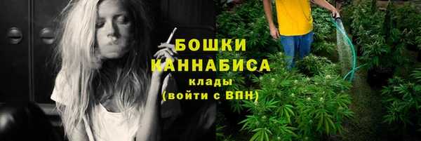 стаф Бронницы