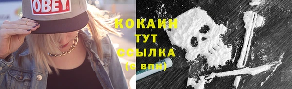 стаф Бронницы