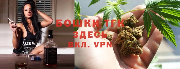 не бодяженный Бородино