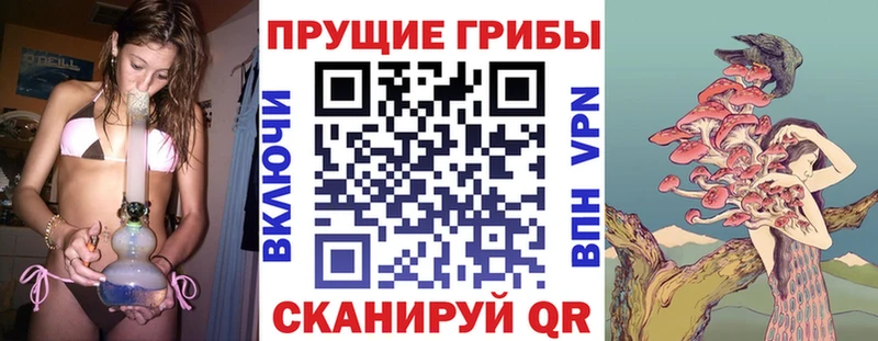 Галлюциногенные грибы прущие грибы  Купить где  Бологое 