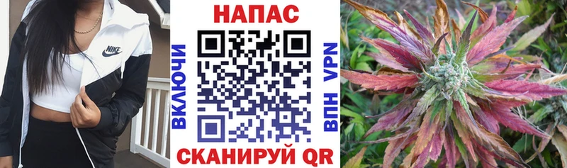Шишки марихуана LSD WEED  Купить закладки  Бологое 
